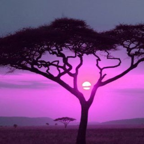 Savana II