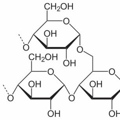 Sofaritzenjohnny - Amylopektin (prod. by Depend On)