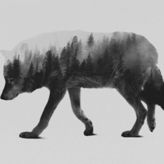 Set-003 Lobo Music @ Aachen Calling // Musikbunker