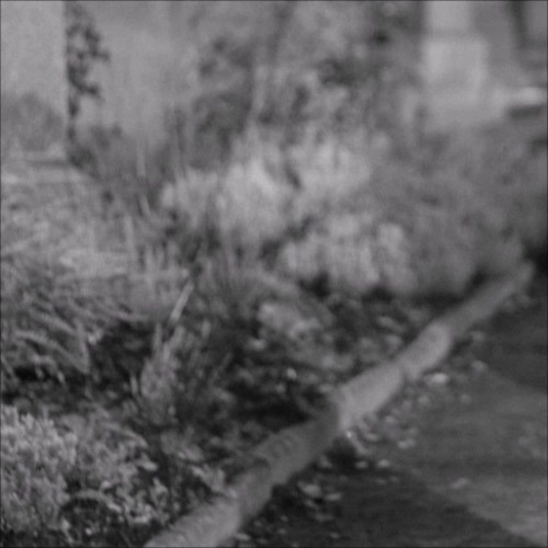 02. Greaf - Isnt It