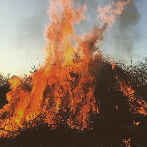 Download Skogen mellan världarna