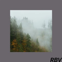 RBV Nimbus - Echoes