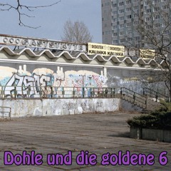 Dohle und die goldene 6
