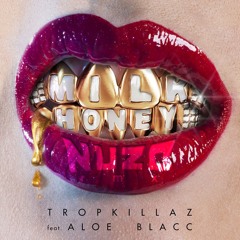 Tropkillaz ft. Aloe Blacc - Milk & Honey (NUZB RMX)