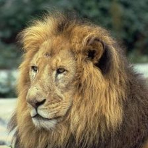 Logic Warm it up instrumental