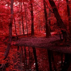 Forest II (Prod By Yung Bleezy Exclusive)