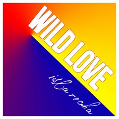 'Wild Love' - James Bay Cover