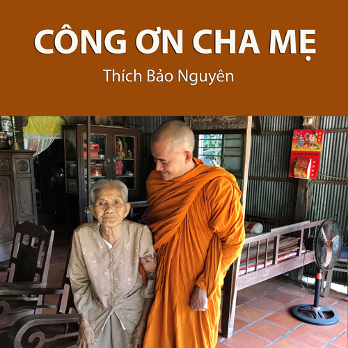 Stream Tran Huong | Listen to côngnchame playlist online for free on ...