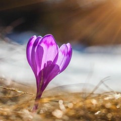 Hulan.B -  Havriin Gants Ulias  - Blind Audition - The Voice Of Mongolia 2018