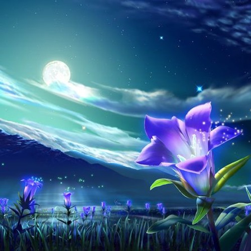 Flowers Under Moonlight By Hughsebastian Flowers Under Moonlight By Hughsebastian