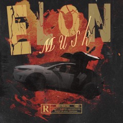 Elon Musk (AutoPilot)