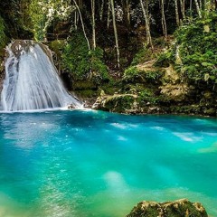 Mystical Tropic Instrumental