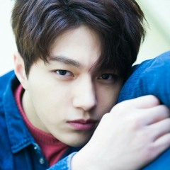 L Infinite - Reminisce (Solo) Top Seed Album