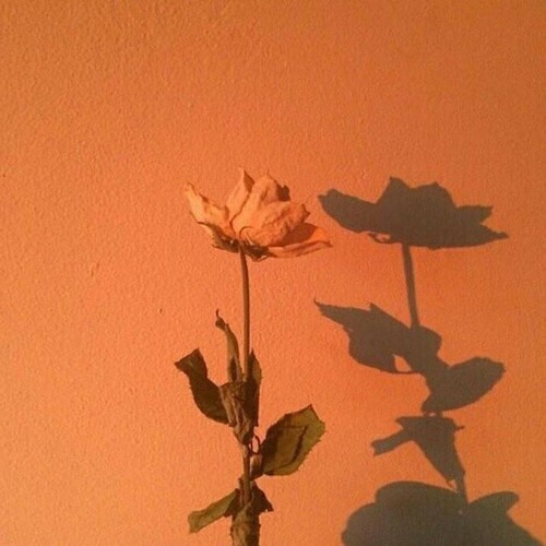 Big Bowl In The Sky – Cavetown