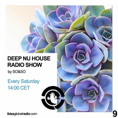 Ibiza Global Radio - Deep Nu House by SO&SO Episode 009