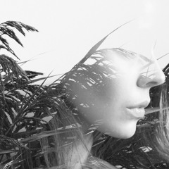 Straight for Tomorrow