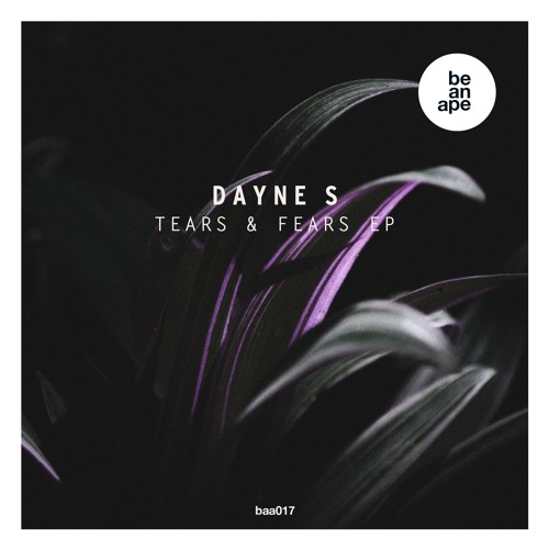 PREMIERE: Dayne S - Disco Stays [Be an Ape 017]