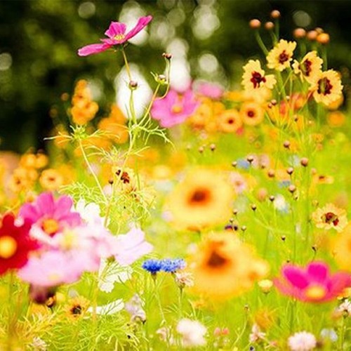 Spring playlist