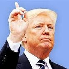 DONALD TRUMP IM RACIST PARODY - MAESTRO ZIIKOS