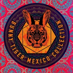 Thee Cool Cats & Julian Luken - Get Down (Original Mix)Bunny Tiger Release 3/19