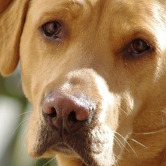 True Playaz Records - Part 1