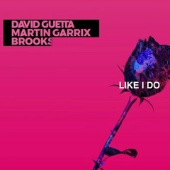 David Guetta, Martin Garrix & Brooks - Like I Do (Pual Saint Remix)