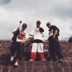 Cristalina CRACK FAMILY