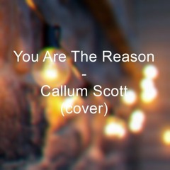 You Are The Reason - Callum Scott (cover)