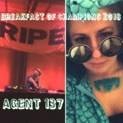 Agent 137 RIPEcast Live from BOC 2018