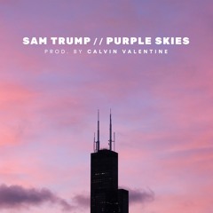 Sam Trump : Purple Skies