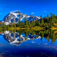 MODERN MARTINA - Spring Slow Motion (Korg S)