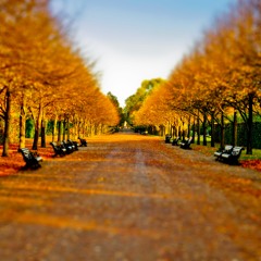 Autumn