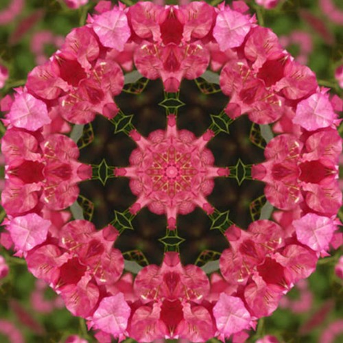 Introspection #2