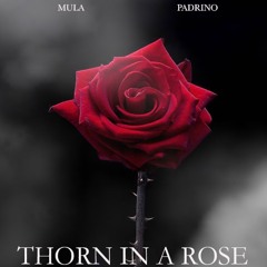 THORN_IN_THE_ROSE_PADRINO_FEAT_MULA
