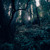 Artwork for Blue Jungle Theory #1