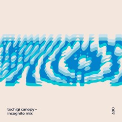 INCOGNITO MIX 007 - Tochigi Canopy