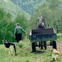 Sarah Roubato : Olivier, habiter sa vie