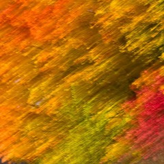 patience. (ft. shiloh)