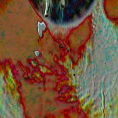 LOWLIFE - BRAINLESS + HD