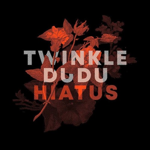 Hiatus - Twinkledudu