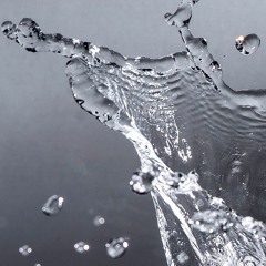 Not Sry Drip Wave Ft. Lega - C and Aragon