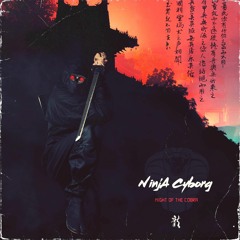 Ninja Cyborg - Searchin' - Feat Kinnie Lane