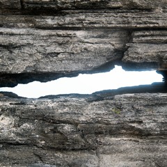 Mouse Trap In The Trap House