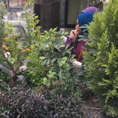 قاللي كام كلمة يشبهو النسمة