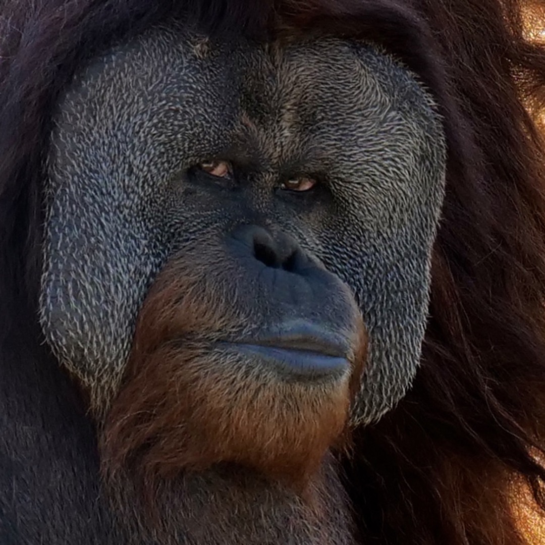 artworks-000316938216-51k94b-