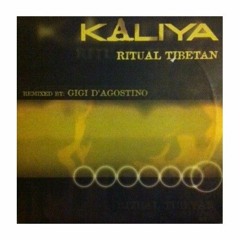 Gigi D'Agostino - Ritual Tibetan (Hava Nagila Mix)