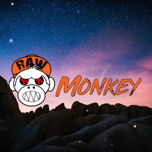 Headhunterz & Wildstylez & Noisecontrollers - No One Can Stop Us Now (HARDSTYLE) [MONKEY TEMPO]
