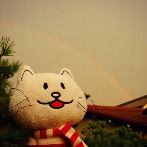 Stream ガラスのブルース Bump Of Chickenカバー By Bentoshunin2 Listen Online For Free On Soundcloud