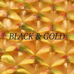 Sam Sparro - Black & Gold (Hyuger Revamp)