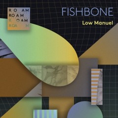 PREMIERE | Low Manuel - Fishbone (Curses Remix) [Roam Recordings] 2018
